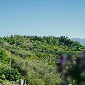 https://bujtina-anlu.albaniahotels.org